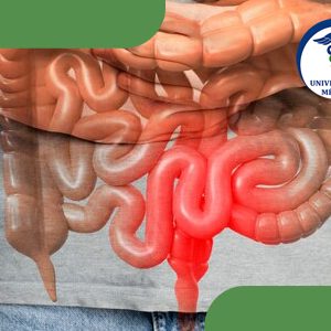 Colon irritable en vegetarianos-veganos