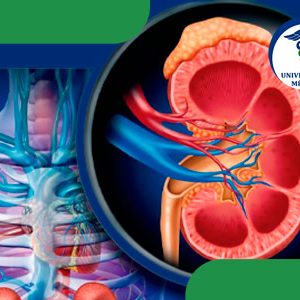 Relación entre diabetes y enfermedad renal