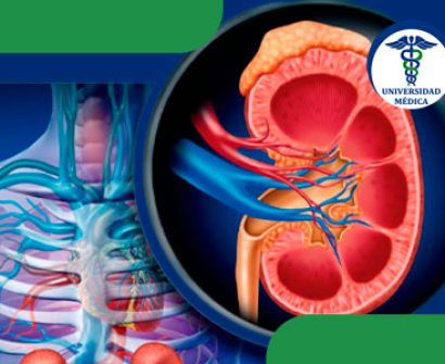 Relación entre diabetes y enfermedad renal